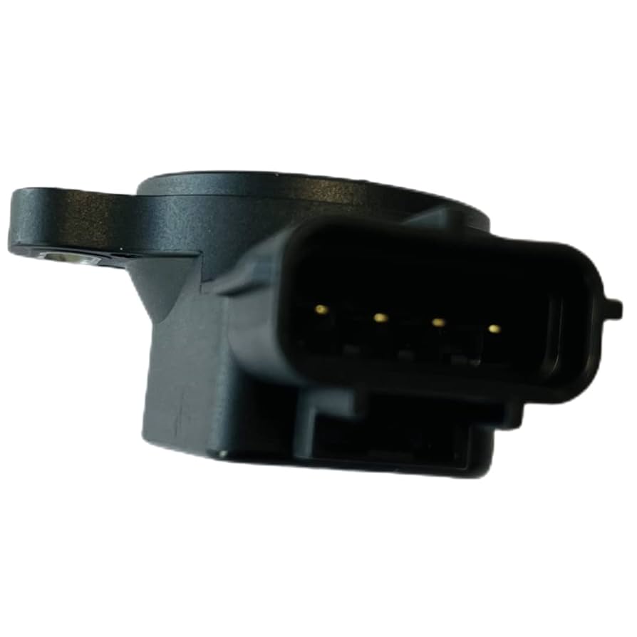 もと シャルティーナ 51mH33sX0EL._UF350,350_QL50_.jpg